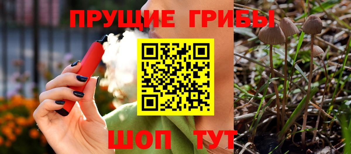 Псилоцибиновые грибы Cubensis  Вход с VPN  Урай  Псилоцибиновые грибы мицелий 